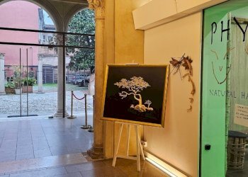 Parrucchieri Uomo - Donna Ferrara - foto 11