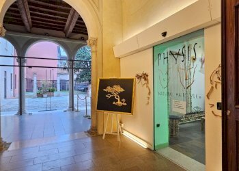 Parrucchieri Uomo - Donna Ferrara - foto 12