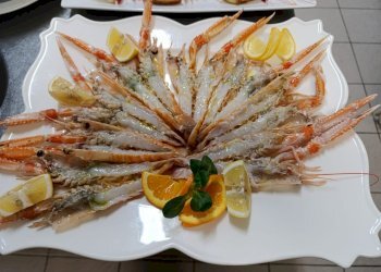 Pizzeria Pianoro - photo 11