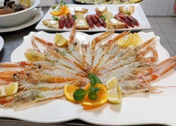 Pizzeria Pianoro - photo 12