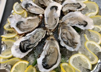 Pizzeria Pianoro - photo 13