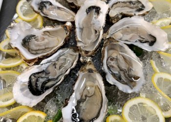 Pizzeria Pianoro - photo 14