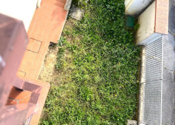 Apartment Santarcangelo di Romagna - photo 23