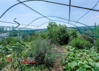 Quadrilocale Via Roma, Pralormo - foto 47