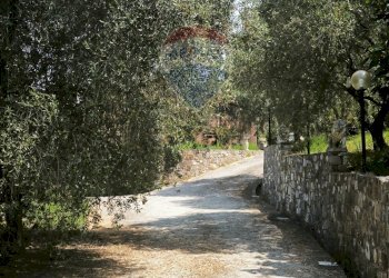 Independent house STR. Ronchi-Brighei, 37 
 Imperia, Imperia - photo 5