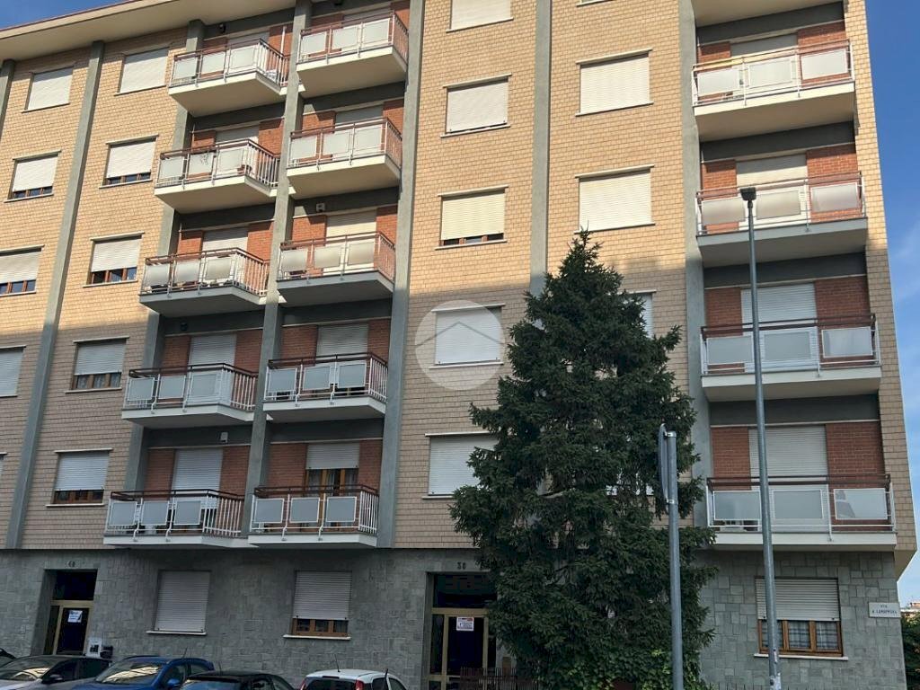 Trilocale Via Alfonso Lamarmora, Collegno - foto 1