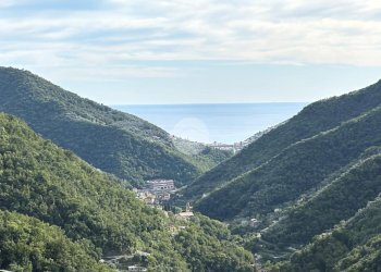 Casa semi indipendente Salita Ciape, Avegno - foto 1