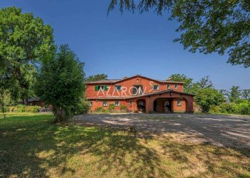 Villa Grottaferrata - photo 3