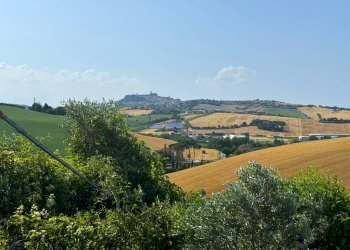 Foto 18 - Casa indipendente Contrada ETE
 
snc, Fermo - foto 18