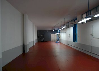 Foto 3 - Capannone via agli avelli, Canosa di Puglia - foto 3