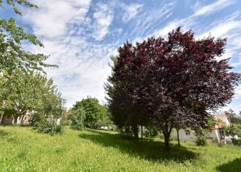 Foto 12 - Apartment Via Giovanni Verga
 
7, Monsampolo del Tronto - photo 12