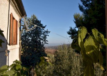 Foto 10 - Rustico Contrada Pianacciole, Ripatransone - foto 10