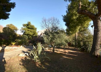 Foto 18 - Rustico Contrada Pianacciole, Ripatransone - foto 18