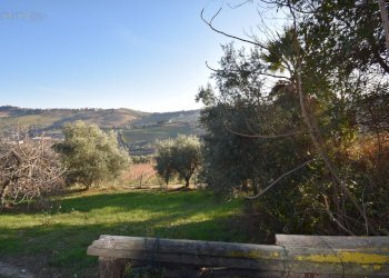 Foto 26 - Rustico Contrada Pianacciole, Ripatransone - foto 26