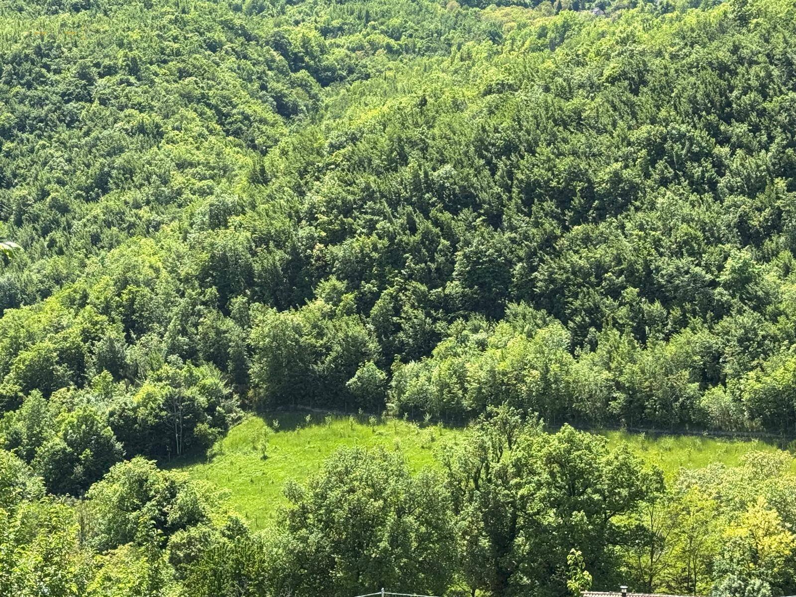 Foto 2 - Terreno agricolo Ciammartello, Amandola - foto 2