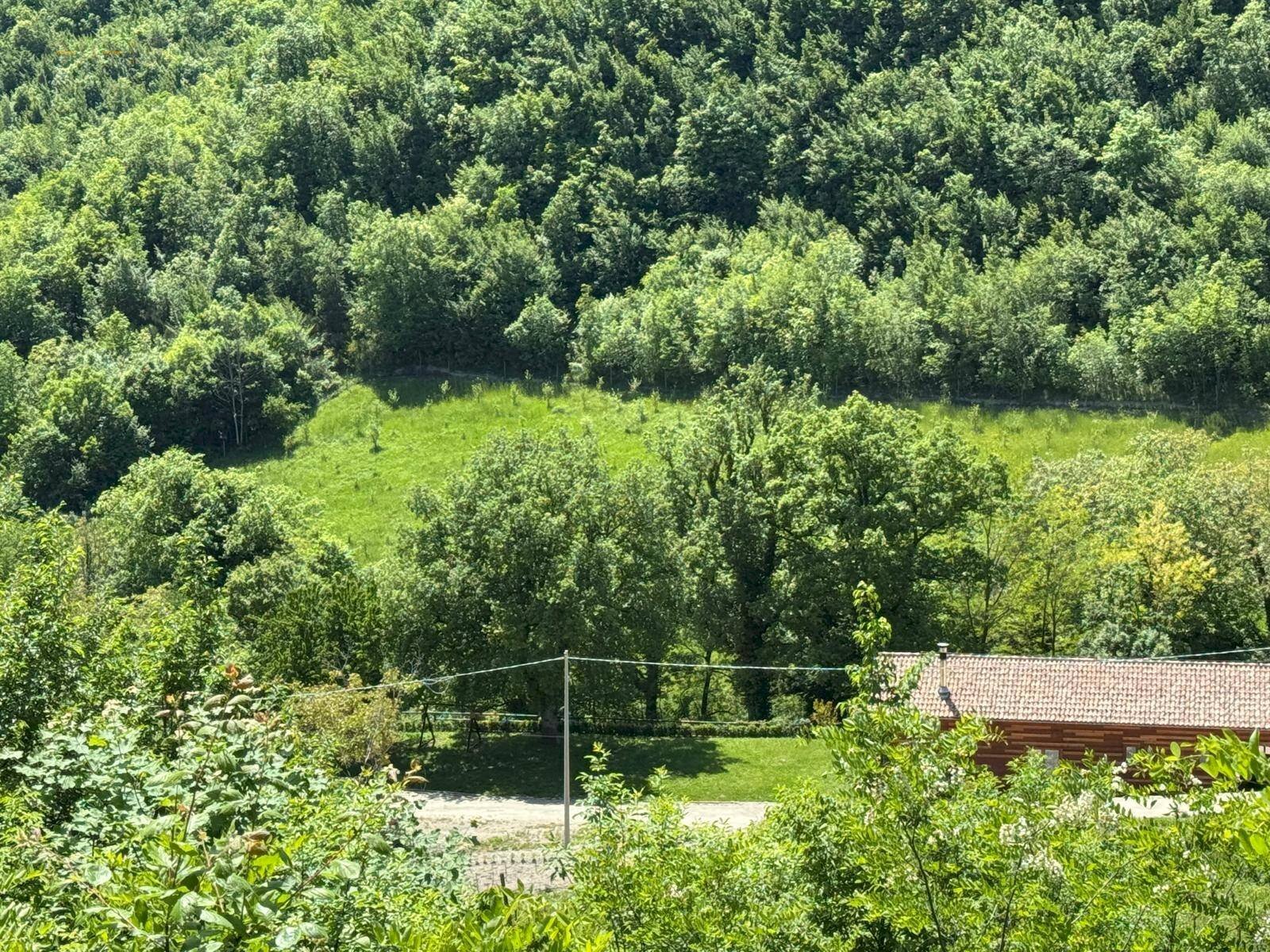 Foto 3 - Terreno agricolo Ciammartello, Amandola - foto 3