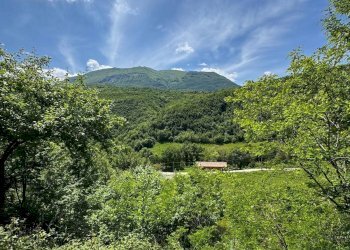 Foto 1 - Terreno agricolo Ciammartello, Amandola - foto 1