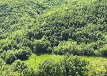 Foto 2 - Terreno agricolo Ciammartello, Amandola - foto 2