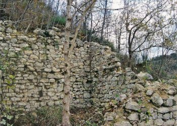 Foto 7 - Terreno agricolo Ciammartello, Amandola - foto 5