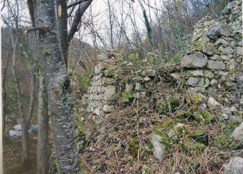 Foto 8 - Terreno agricolo Ciammartello, Amandola - foto 6