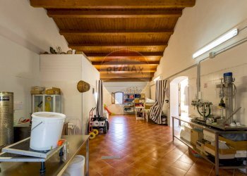 Locale lavorazione Olio - Rustico Strada Provinciale 1 Bis - Contrada Dagala - Via della Cartiera
 
15, Carini - foto 13