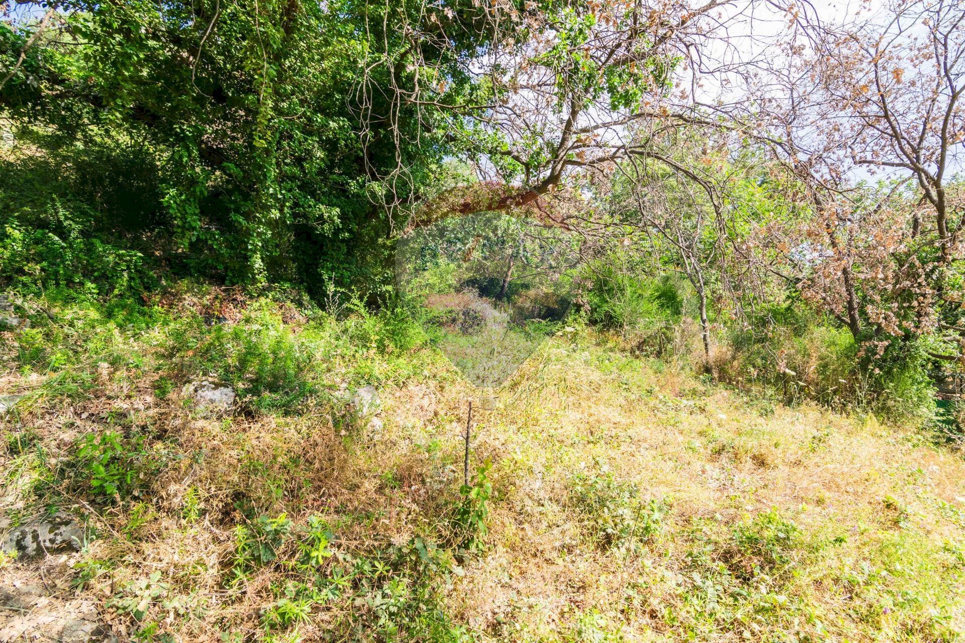 Giardino - Terreno agricolo Via Ronzini
 
93, Trecastagni - foto 2