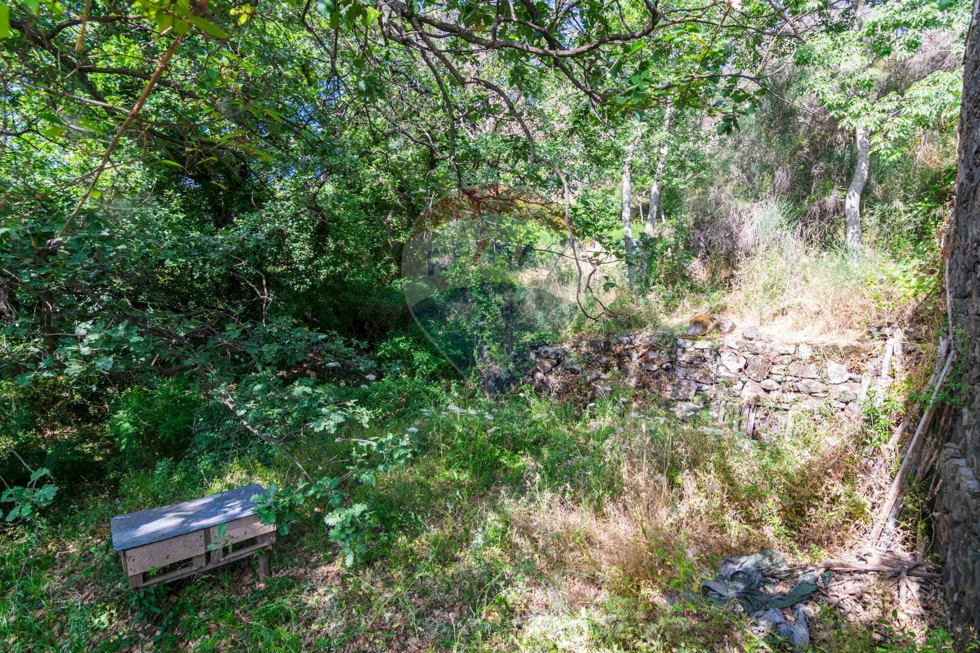 Giardino - Terreno agricolo Via Ronzini
 
93, Trecastagni - foto 3