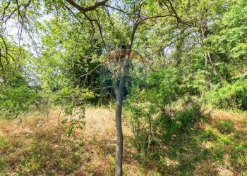 Giardino - Agricultural land Via Ronzini
93, Trecastagni - photo 1