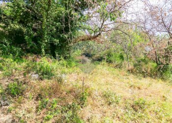 Giardino - Agricultural land Via Ronzini
93, Trecastagni - photo 2