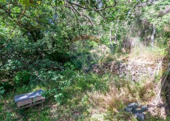 Giardino - Agricultural land Via Ronzini
93, Trecastagni - photo 3