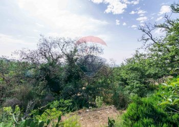 Giardino - Agricultural land Via Ronzini
93, Trecastagni - photo 5
