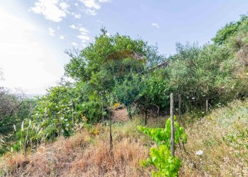 Giardino - Agricultural land Via Ronzini
93, Trecastagni - photo 7