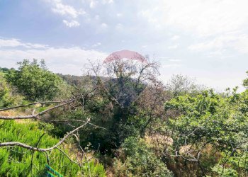 Giardino - Agricultural land Via Ronzini
93, Trecastagni - photo 10