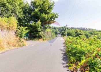 Giardino - Agricultural land Via Ronzini
93, Trecastagni - photo 11