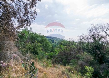 Vista delle montagne - Agricultural land Via Ronzini
93, Trecastagni - photo 12