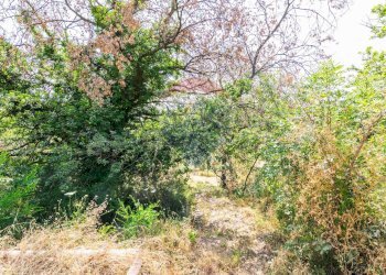 Giardino - Agricultural land Via Ronzini
93, Trecastagni - photo 13