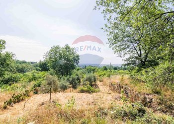 Giardino - Agricultural land Via Ronzini
93, Trecastagni - photo 14