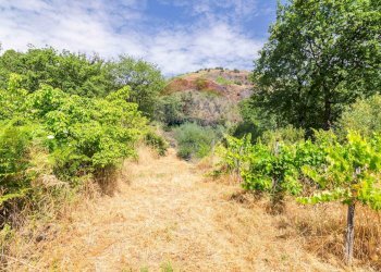 Giardino - Agricultural land Via Ronzini
93, Trecastagni - photo 15