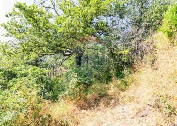 Giardino - Agricultural land Via Ronzini
93, Trecastagni - photo 17