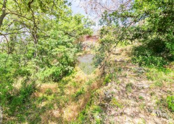 Giardino - Agricultural land Via Ronzini
93, Trecastagni - photo 22