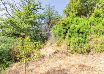 Giardino - Agricultural land Via Ronzini
93, Trecastagni - photo 23