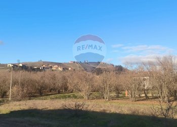 Vista delle montagne - Casa indipendente Borgata Pianezzo
 
6, Dogliani - foto 14