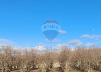 Non correlato - Casa indipendente Borgata Pianezzo
 
6, Dogliani - foto 15