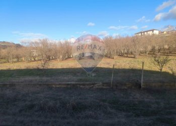 Vista delle montagne - Casa indipendente Borgata Pianezzo
 
6, Dogliani - foto 17
