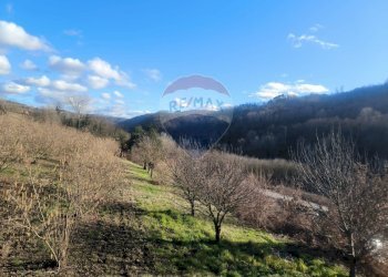 Vista delle montagne - Casa indipendente Borgata Pianezzo
 
6, Dogliani - foto 28