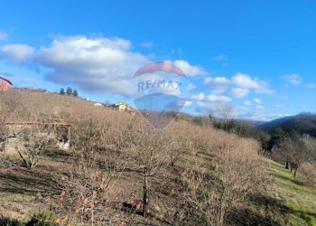 Vista delle montagne - Casa indipendente Borgata Pianezzo
 
6, Dogliani - foto 29