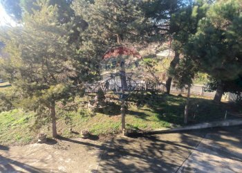 Giardino - Casa indipendente Borgata Pianezzo
 
6, Dogliani - foto 72