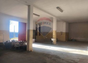 Parcheggio - Casa indipendente Borgata Pianezzo
 
6, Dogliani - foto 101