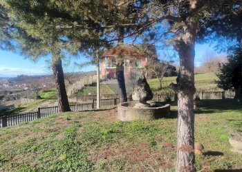 Giardino - Casa indipendente Borgata Pianezzo
 
6, Dogliani - foto 145