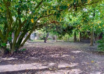 Giardino - Villa Via Maffei
 
26/22, Stienta - foto 23